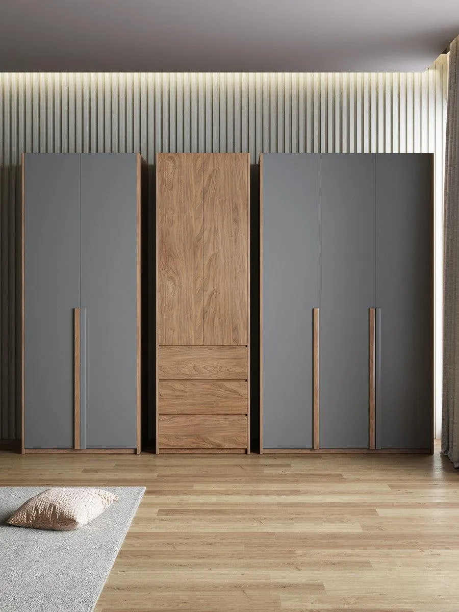 Contemporary Luxury Wardrobe with decoration shelves