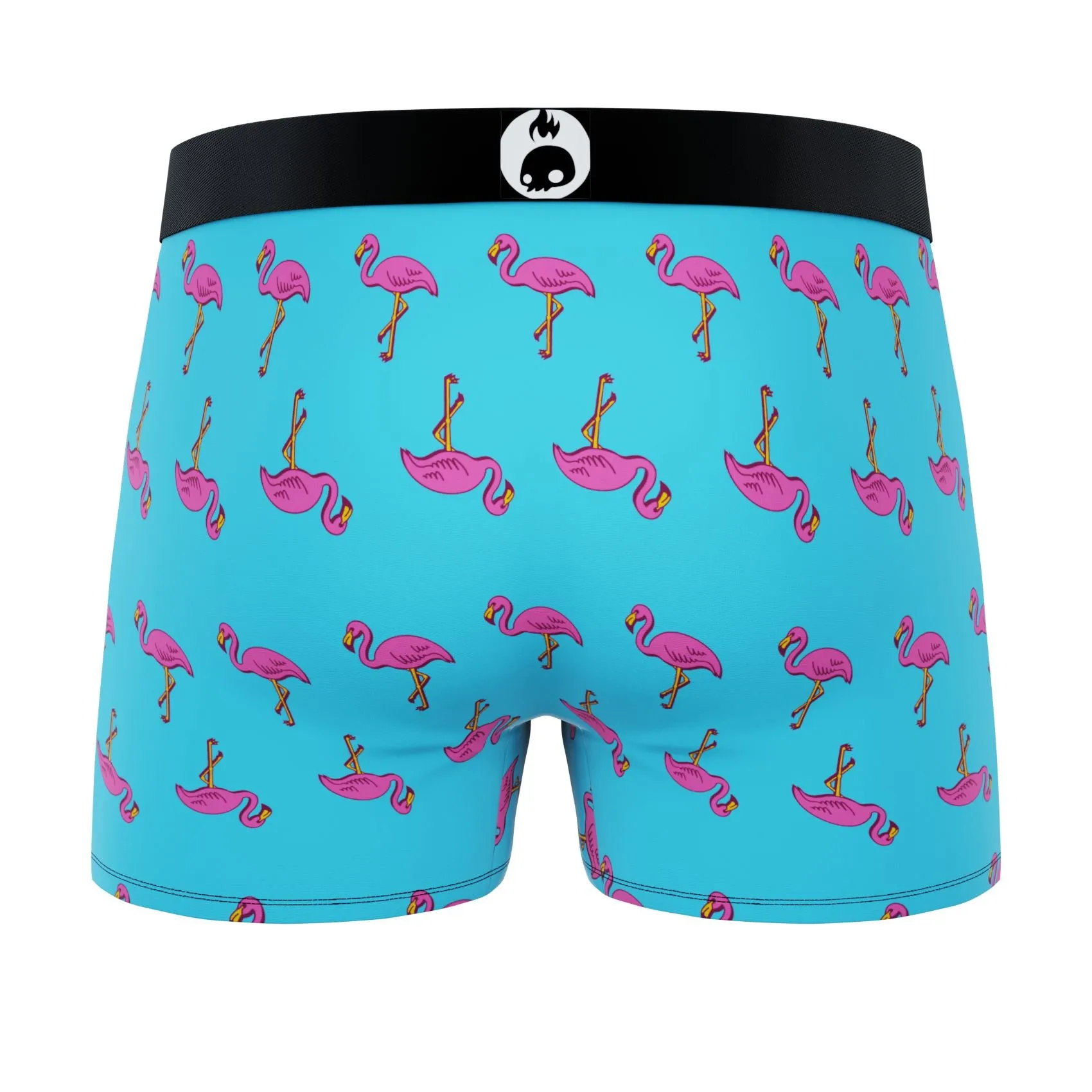 CRAZYBOXER Mini Flamingo Cactus Men's Boxer Briefs (2 pack)