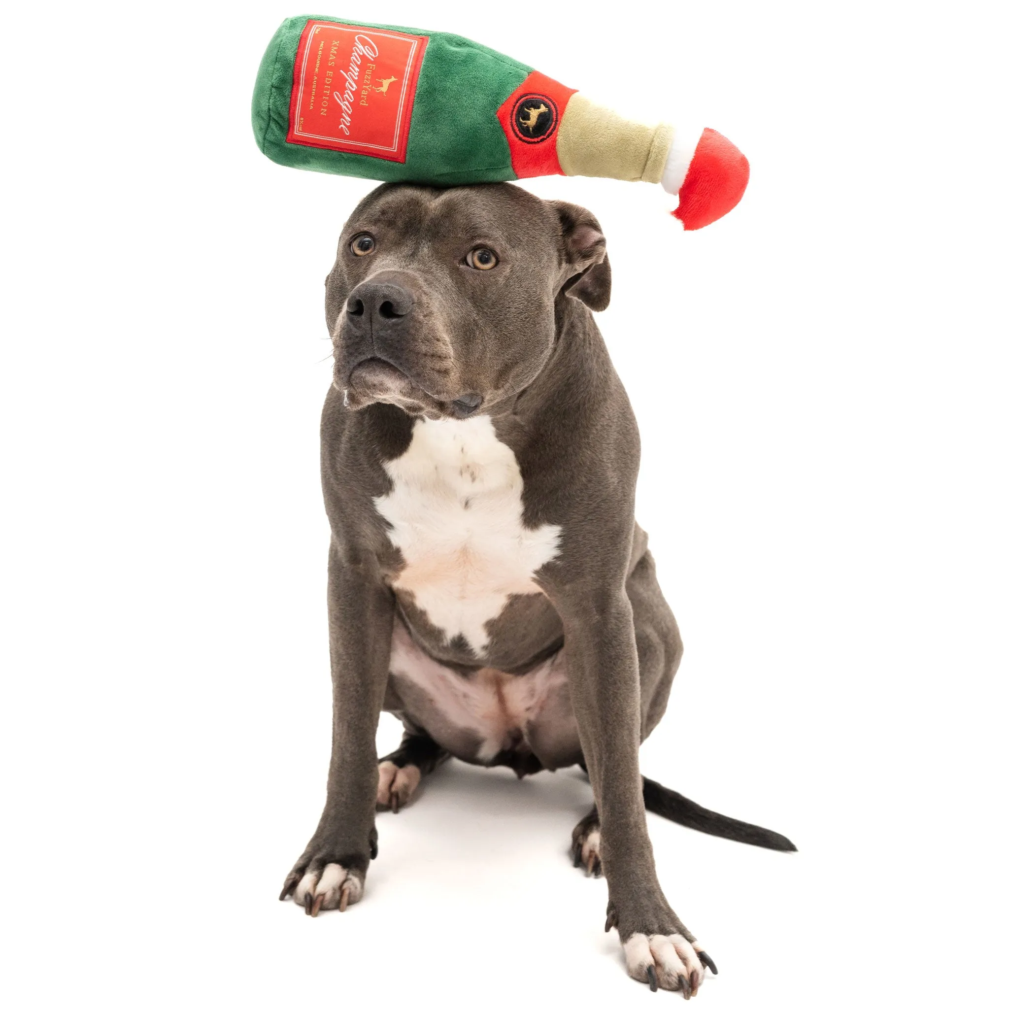 Fuzzyard Holiday Champagne Dog Toy